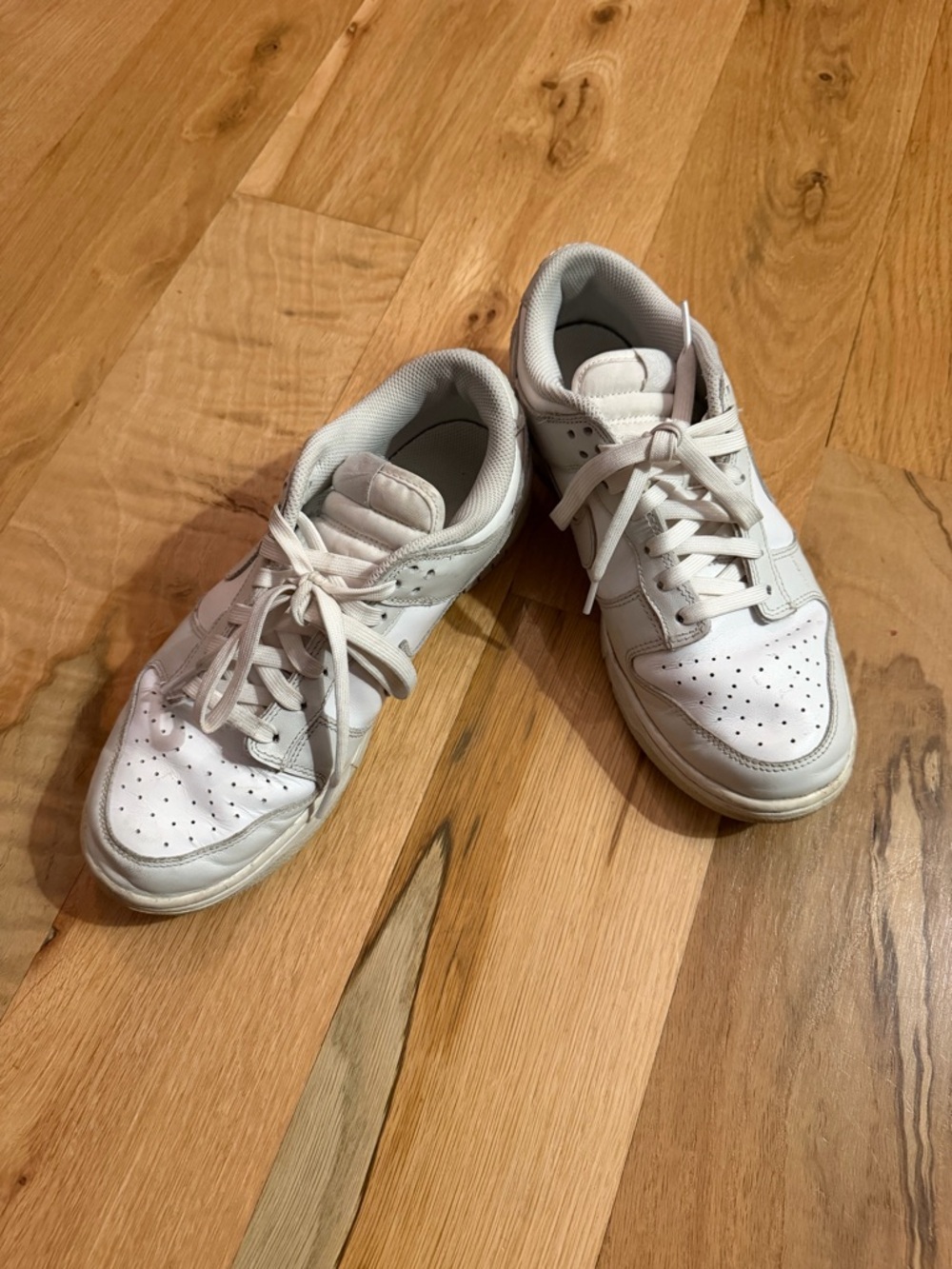 Nike Low Dunk Sneakers